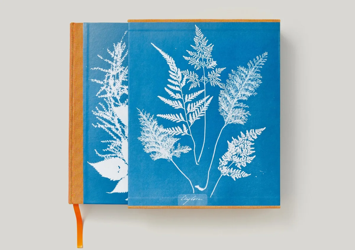 Anna Atkins. Cyanotypes