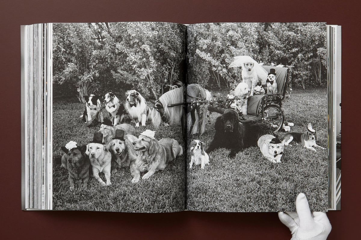 Bruce Weber. The Golden Retriever Photographic Society. Art Edition No. 1–100 ‘Little Bear Ranch, Montana, 1996’