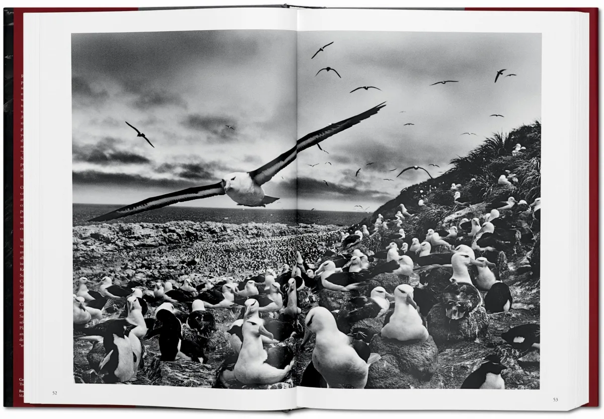 Sebastião Salgado. GENESIS