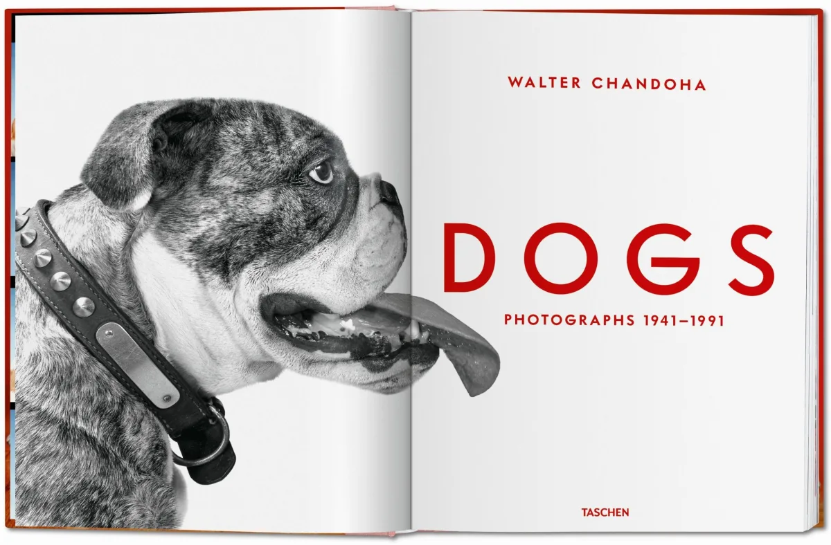 Walter Chandoha. Dogs. Photographs 1941–1991