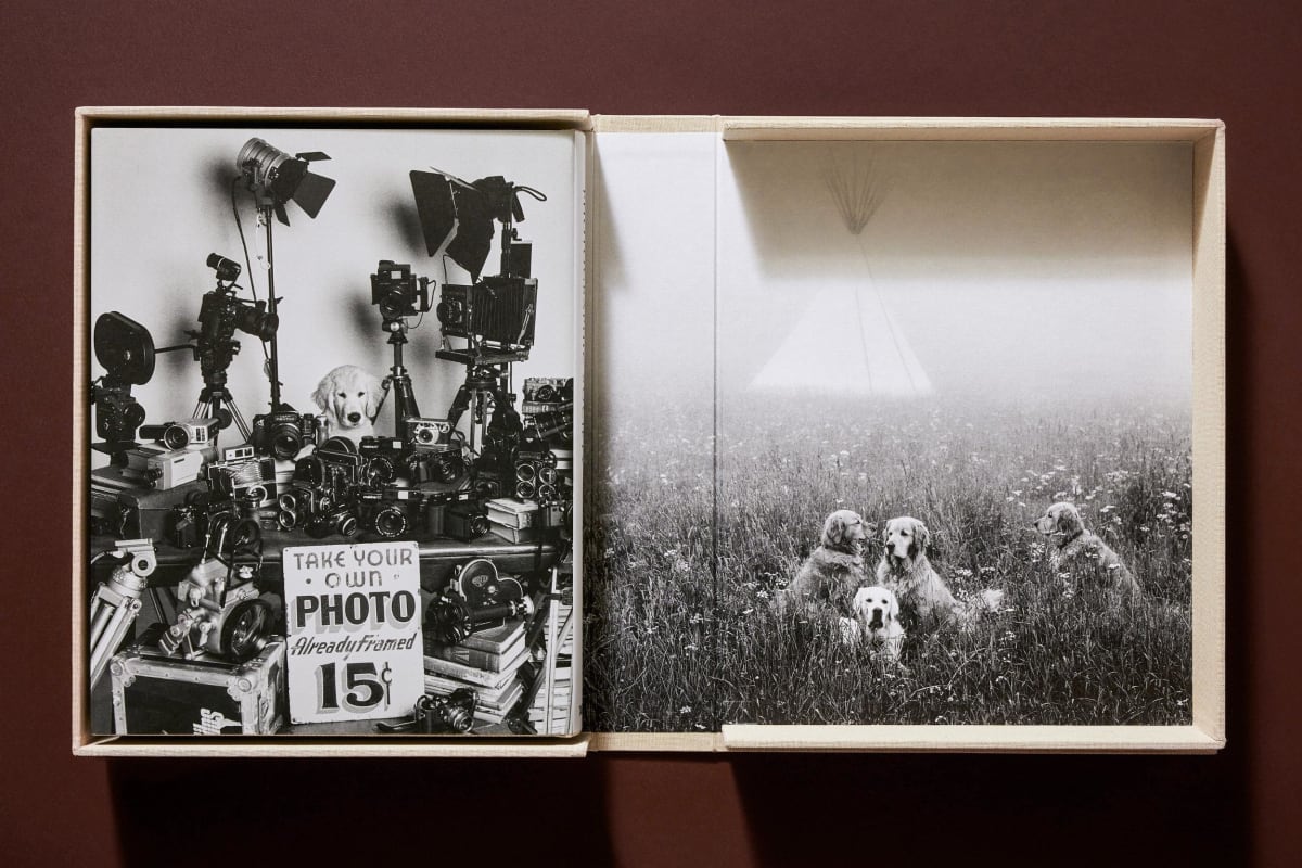 Bruce Weber. The Golden Retriever Photographic Society. Art Edition No. 1–100 ‘Little Bear Ranch, Montana, 1996’