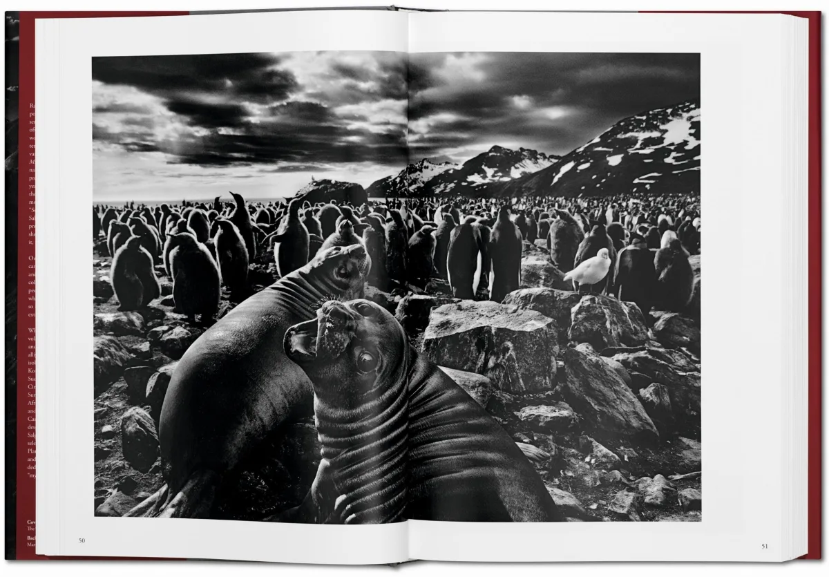 Sebastião Salgado. GENESIS