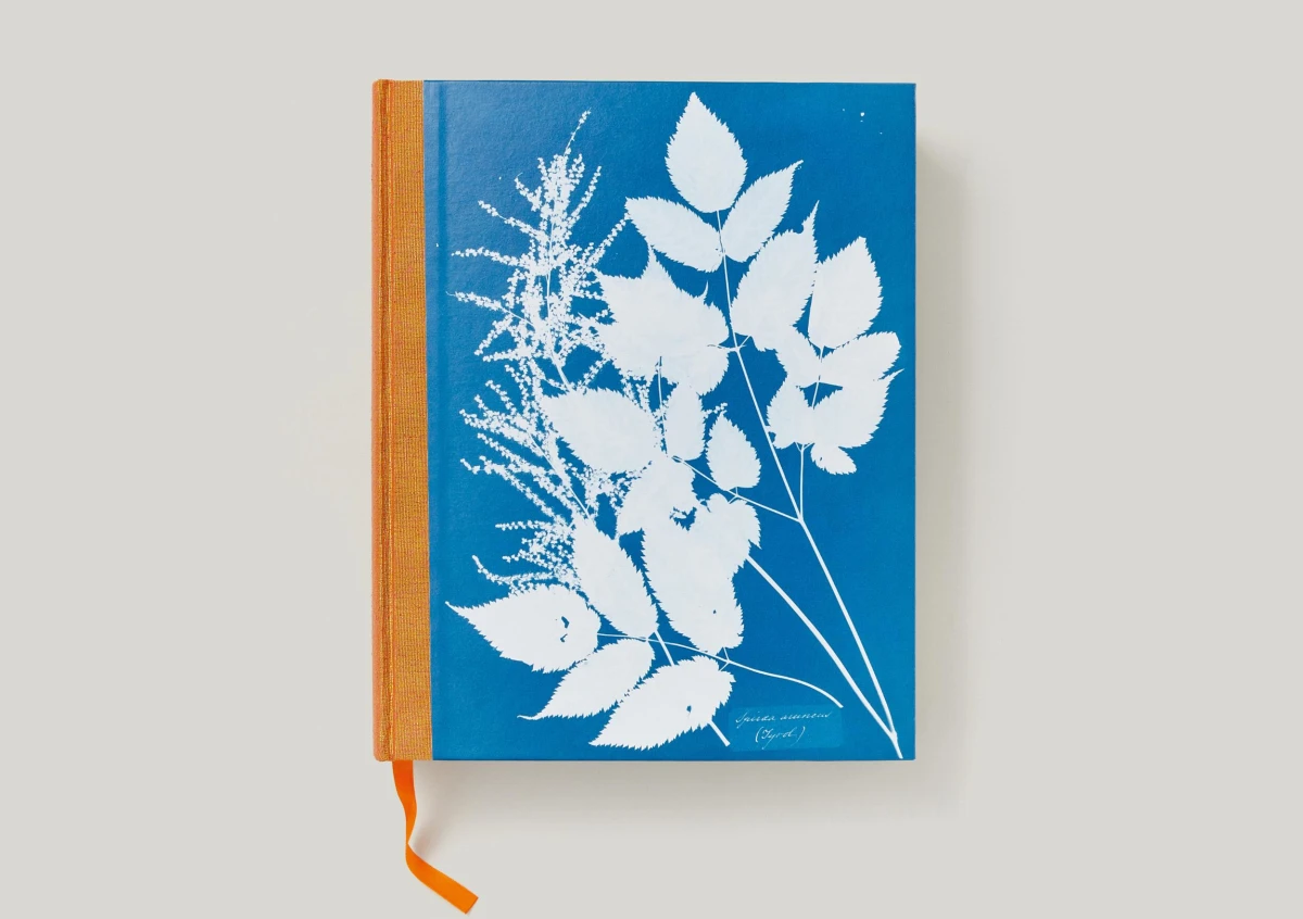 Anna Atkins. Cyanotypes