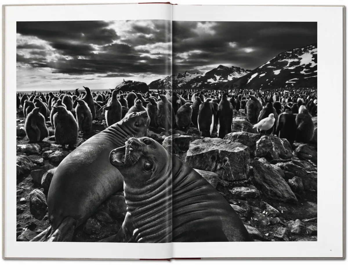 Sebastião Salgado. GENESIS