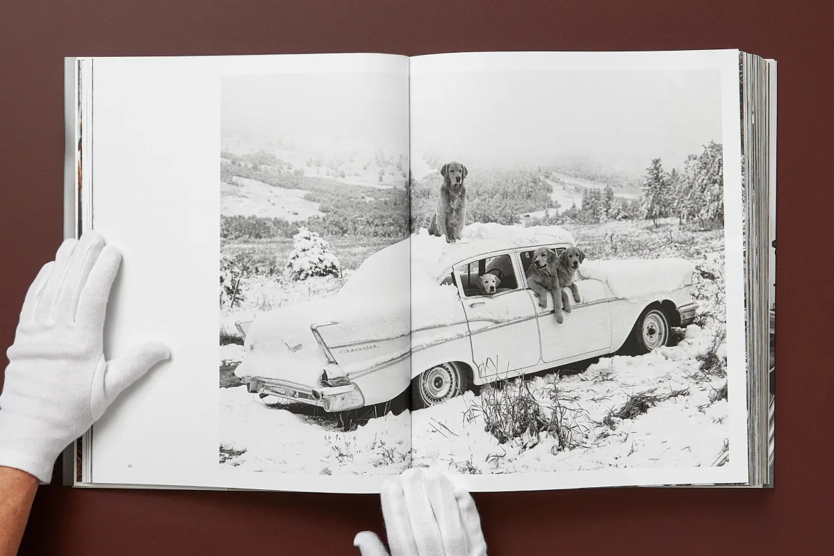 Bruce Weber. The Golden Retriever Photographic Society. Art Edition No. 1–100 ‘Little Bear Ranch, Montana, 1996’