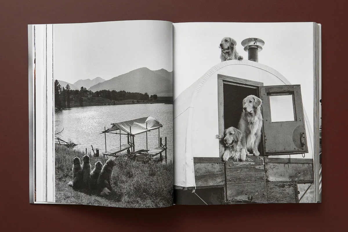 Bruce Weber. The Golden Retriever Photographic Society. Art Edition No. 1–100 ‘Little Bear Ranch, Montana, 1996’