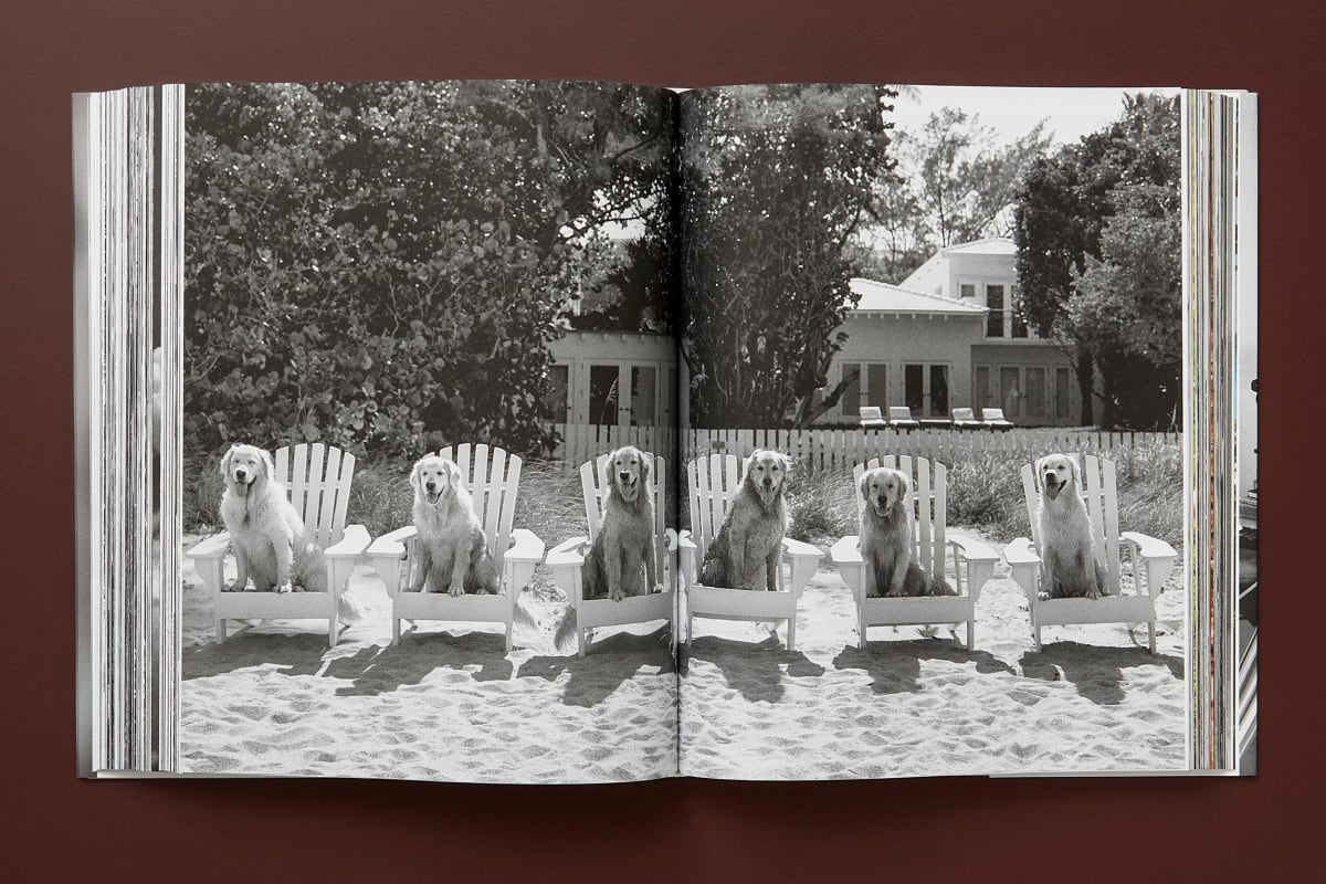 Bruce Weber. The Golden Retriever Photographic Society. Art Edition No. 1–100 ‘Little Bear Ranch, Montana, 1996’