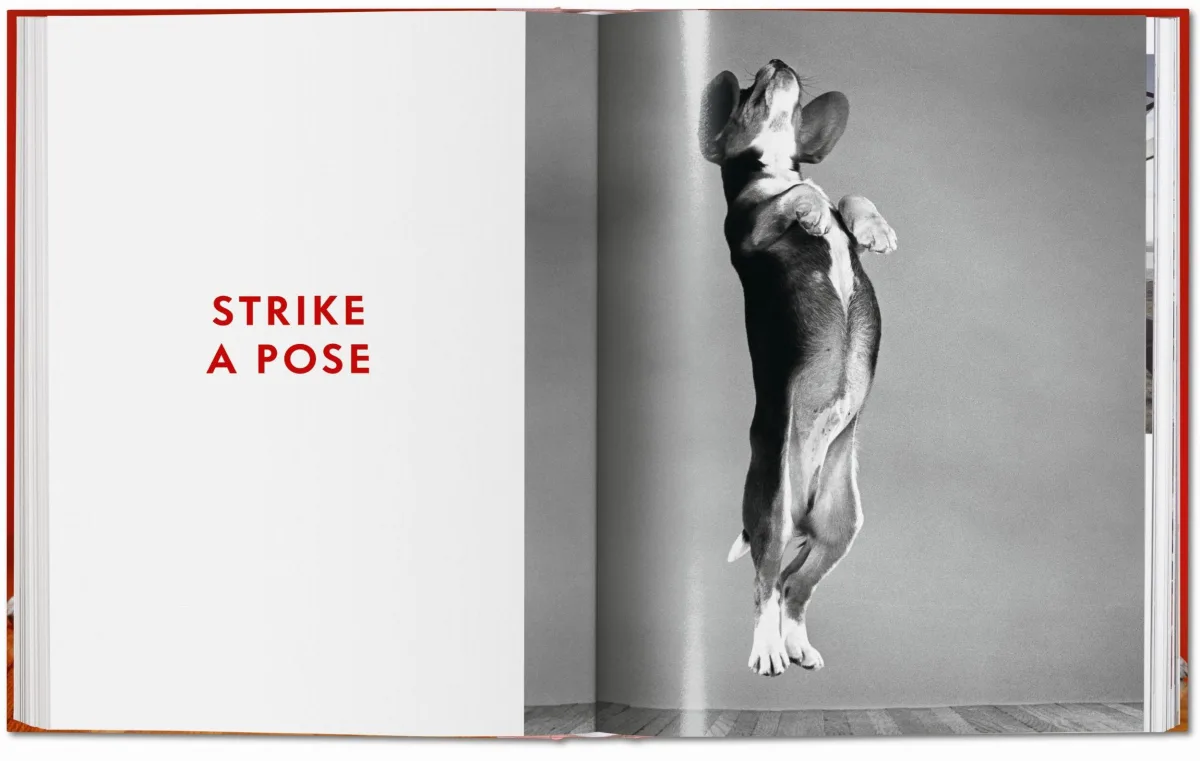 Walter Chandoha. Dogs. Photographs 1941–1991