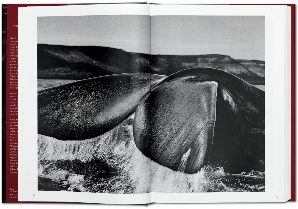 Sebastião Salgado. GENESIS