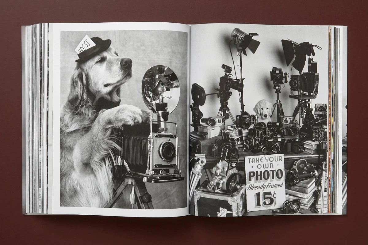 Bruce Weber. The Golden Retriever Photographic Society. Art Edition No. 1–100 ‘Little Bear Ranch, Montana, 1996’