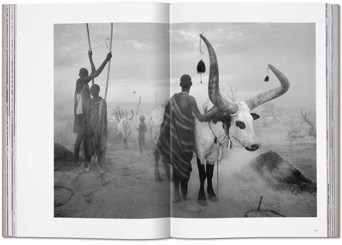 Sebastião Salgado. GENESIS