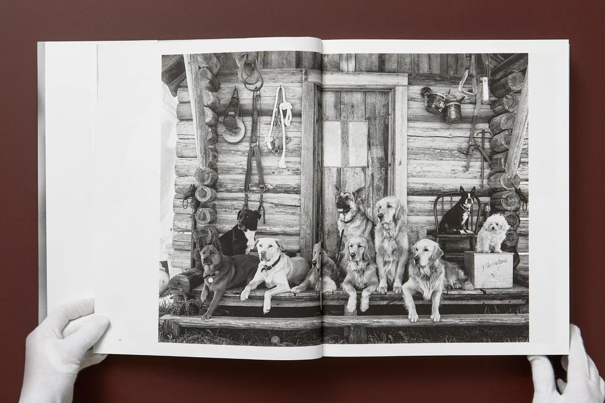 Bruce Weber. The Golden Retriever Photographic Society. Art Edition No. 1–100 ‘Little Bear Ranch, Montana, 1996’