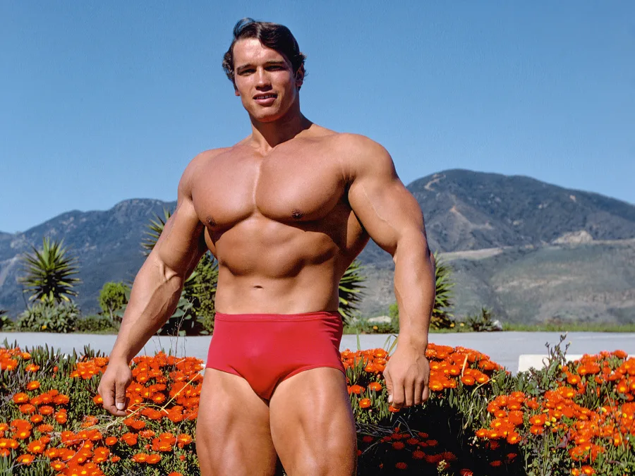 Arnold Comes to California