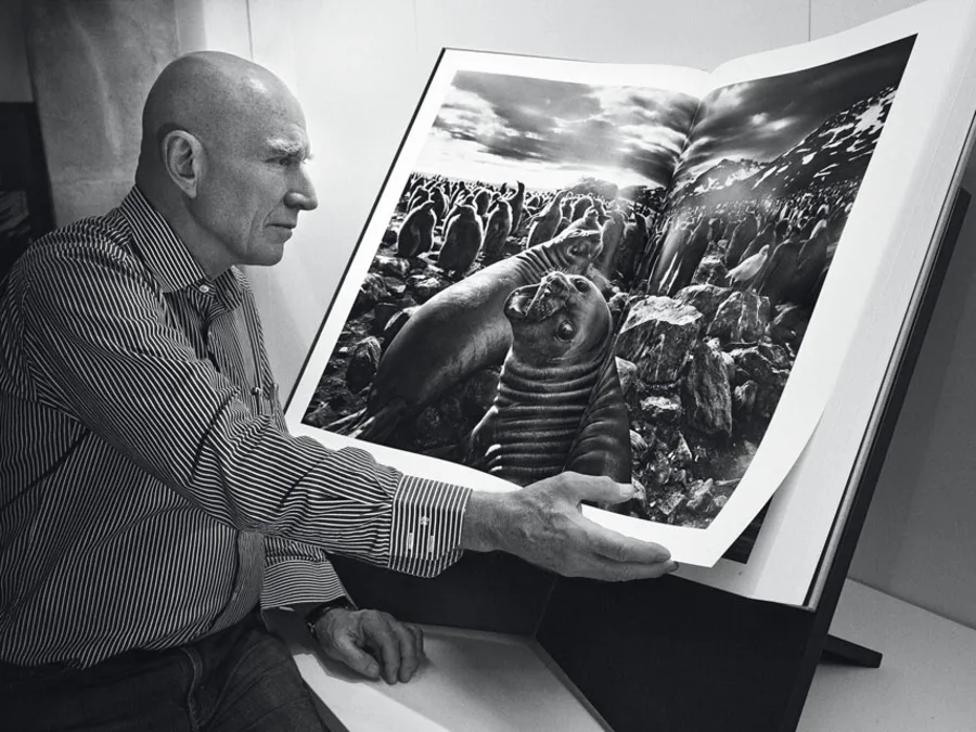 Sebastião Salgado Wins Peace Prize